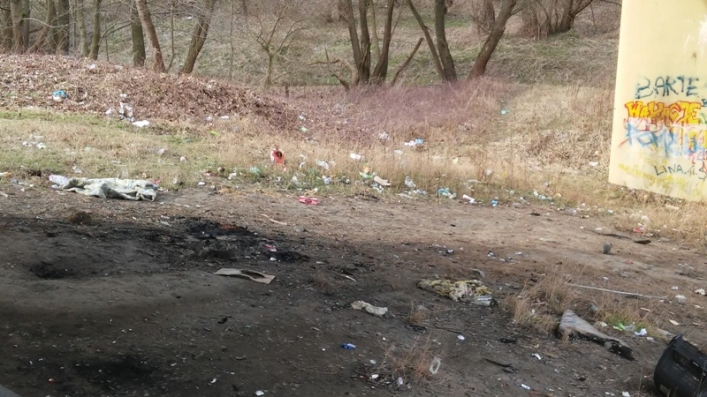Straż Miejska sprawdzała jak wygląda miasto po akcji „Posesja”