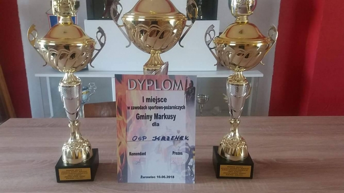 Strażacy ochotnicy z Krzewska ze złotymi medalami 