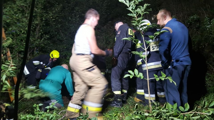 Strażacy wyciągnęli łosia, który wpadł do studni