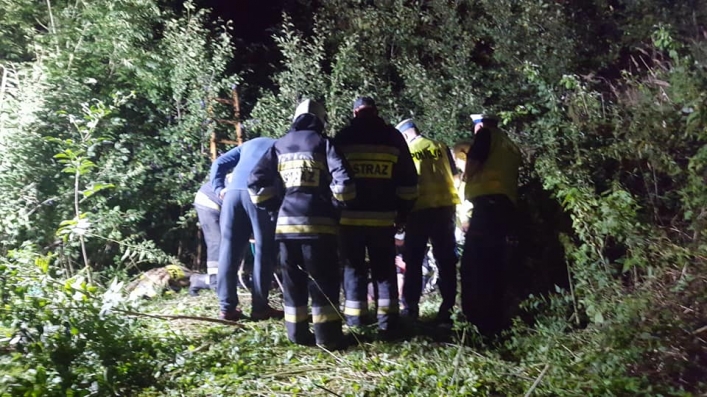 Strażacy wyciągnęli łosia, który wpadł do studni