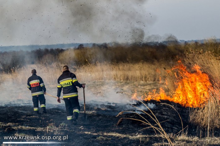 Strażacy z Krzewska walczyli z płonącymi trawami (foto)