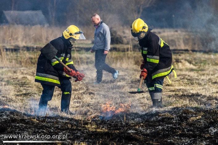 Strażacy z Krzewska walczyli z płonącymi trawami (foto)