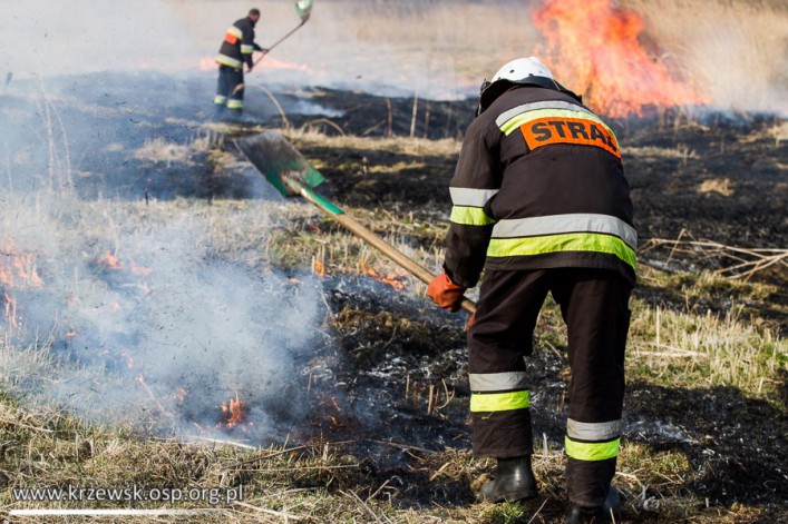 Strażacy z Krzewska walczyli z płonącymi trawami (foto)