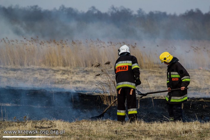 Strażacy z Krzewska walczyli z płonącymi trawami (foto)