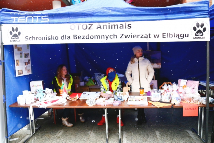 Święteczne Spotkania Elblążan 2018 w naszym obiektywie 