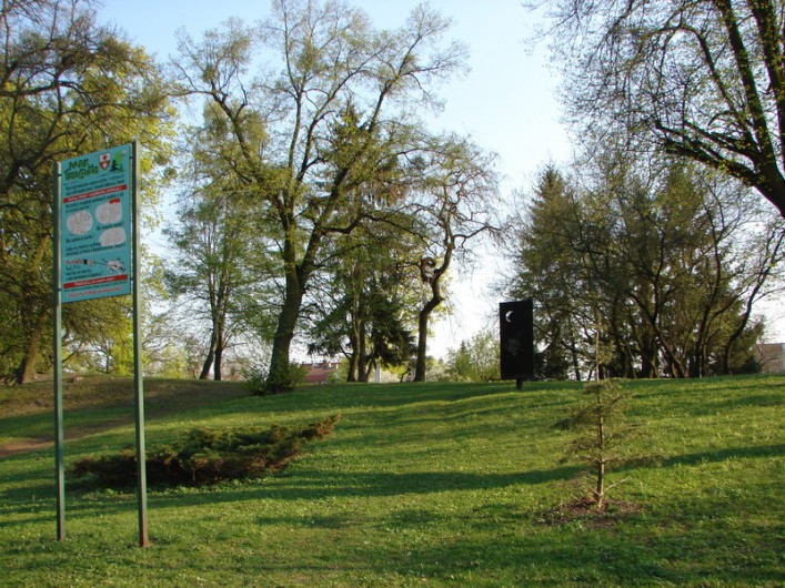 Tajemnice elbląskiego parku. Co kryje wzniesienie?