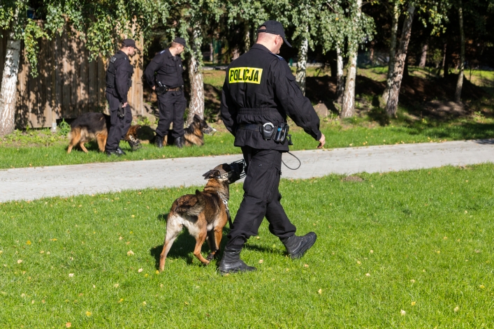"Ten pies jest jak członek rodziny"