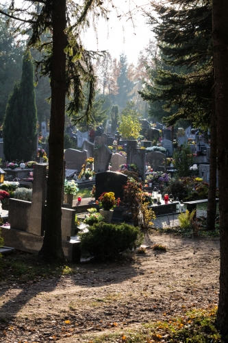 Tłumy na cmentarzach, ale korki minimalne – zobacz zdjęcia z Dębicy