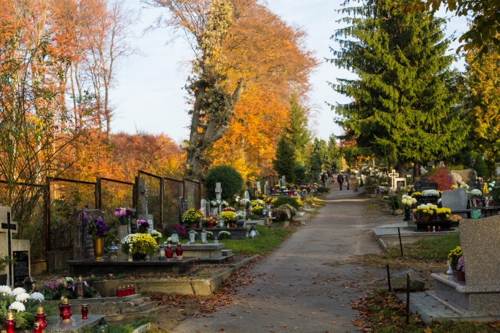 Tłumy na cmentarzach, ale korki minimalne – zobacz zdjęcia z Dębicy