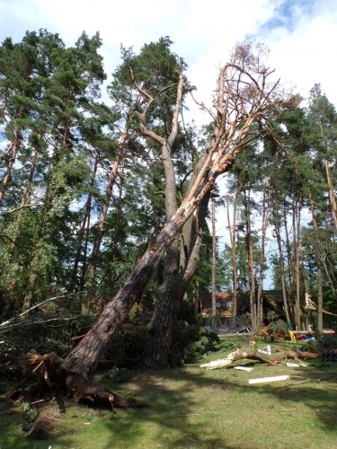 Trąba powietrzna w Kretowinach – zobacz video