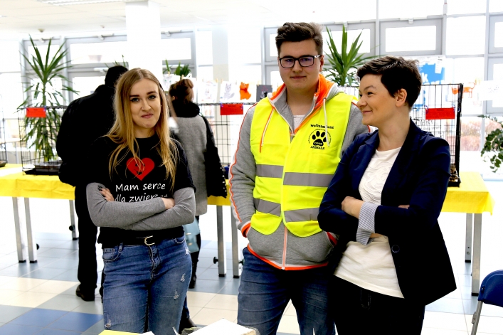 V Elbląska Rewia Kotów za nami. Który kot znalazł nowy dom?