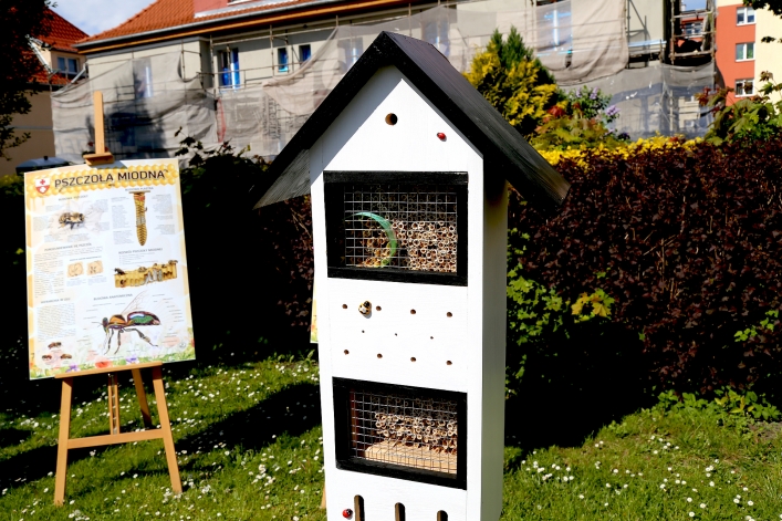 W Elblągu stanął kolejny domek dla murarek 