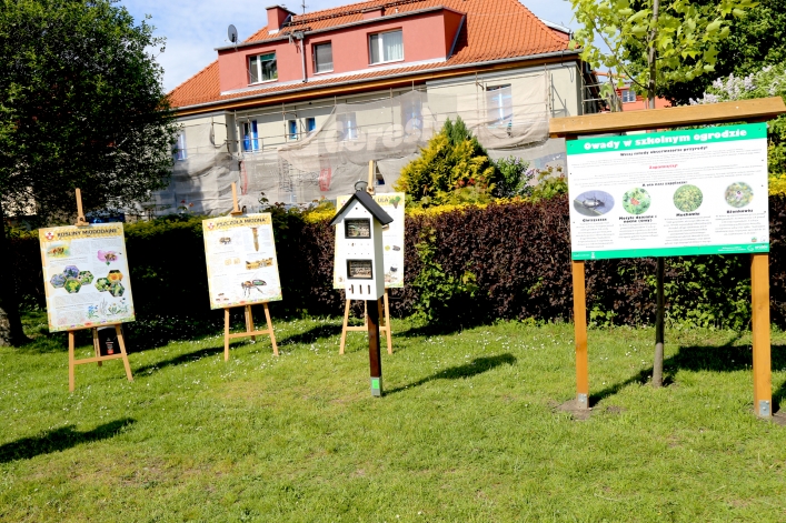 W Elblągu stanął kolejny domek dla murarek 
