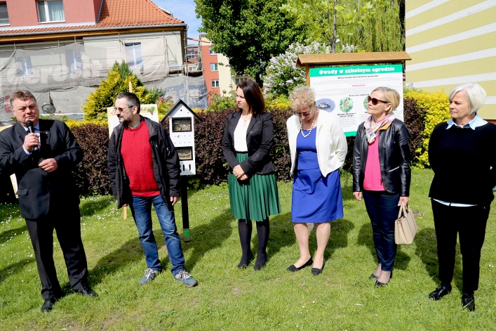 W Elblągu stanął kolejny domek dla murarek 