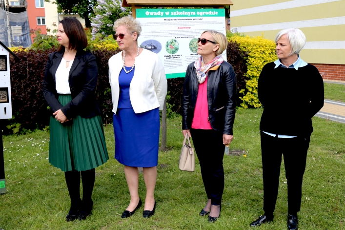 W Elblągu stanął kolejny domek dla murarek 