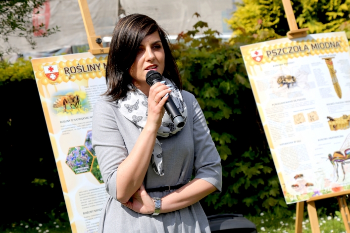 W Elblągu stanął kolejny domek dla murarek 