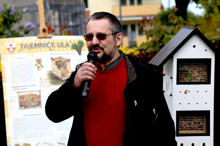 W Elblągu stanął kolejny domek dla murarek 