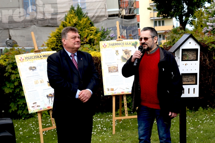 W Elblągu stanął kolejny domek dla murarek 