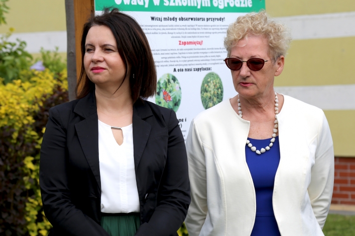 W Elblągu stanął kolejny domek dla murarek 
