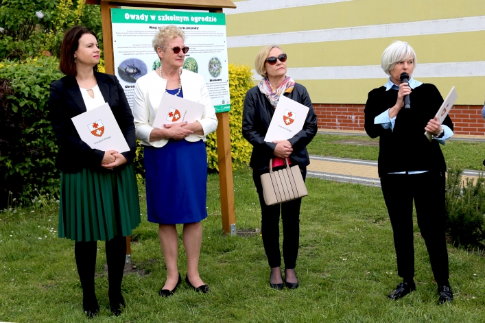 W Elblągu stanął kolejny domek dla murarek 