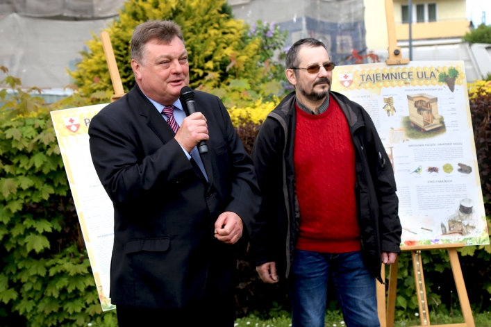 W Elblągu stanął kolejny domek dla murarek 