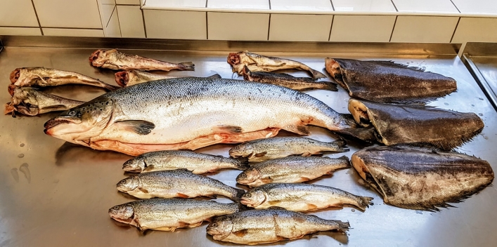 Warsztaty rybne. Elbląski Klub Szefów Kuchni szkolił uczniów ZSG. Fotorelacja – część 1. (+ zdjęcia)