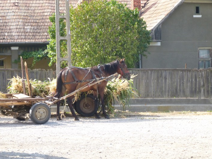 Warto tam pojechać dla widoków i dla ludzi - Karolina Borsukowicz o podróży motocyklowej do Rumunii