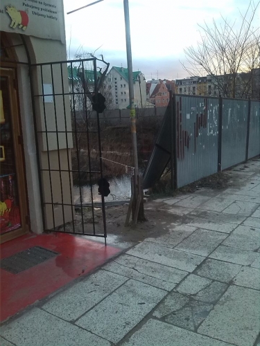 Wichura czy celowe działanie? Ogrodzenie przy Willi Syrena padło