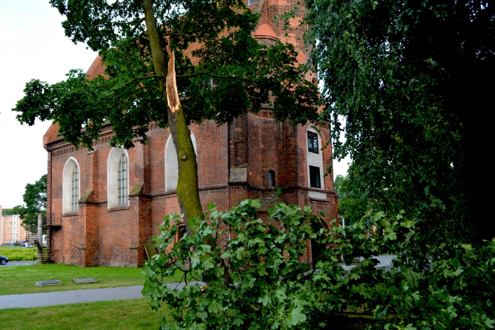 Wichura w Elblągu. Wiele połamanych drzew