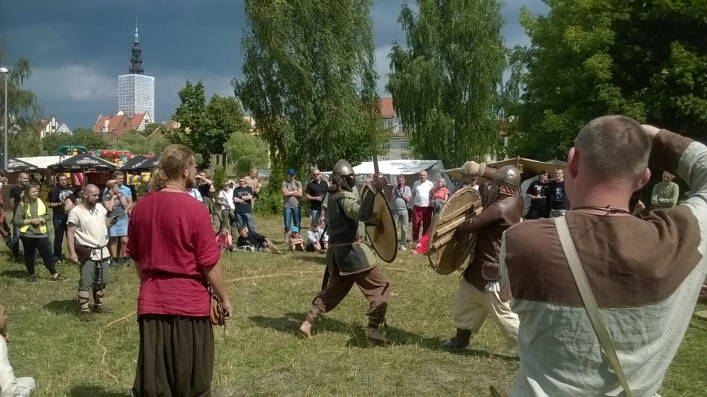 Wikingowie opanowali Wyspę Spichrzów. Osady Truso nadal brak