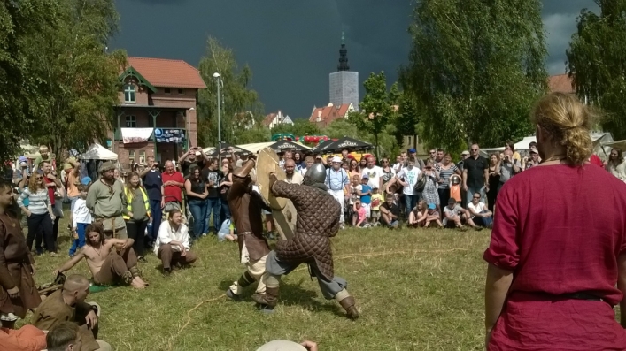 Wikingowie opanowali Wyspę Spichrzów. Osady Truso nadal brak