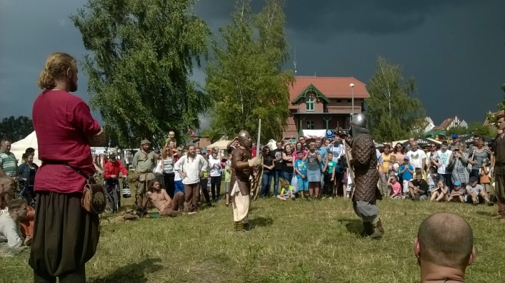 Wikingowie opanowali Wyspę Spichrzów. Osady Truso nadal brak