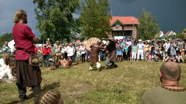 Wikingowie opanowali Wyspę Spichrzów. Osady Truso nadal brak