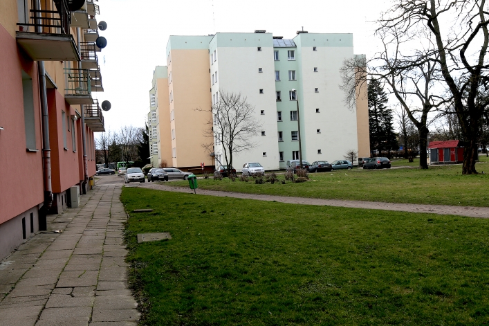 Wycięte drzewa przy Placu Wolności