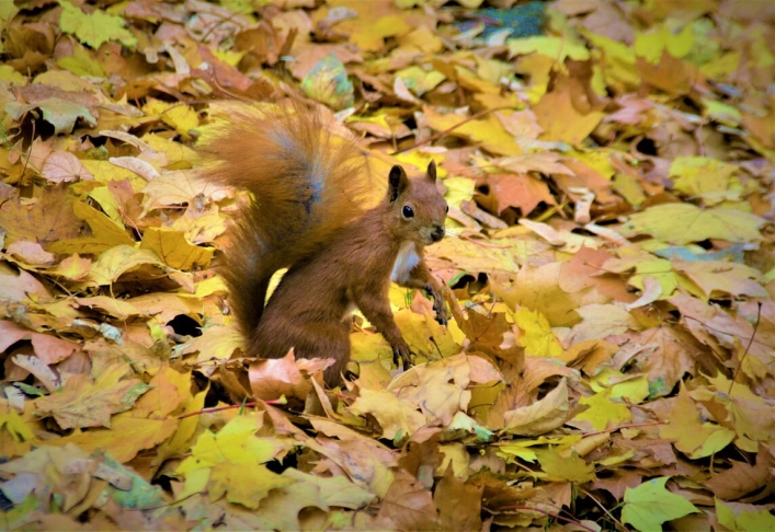 Wyjazd laureatów konkursów pod patronatem Prezydenta RP