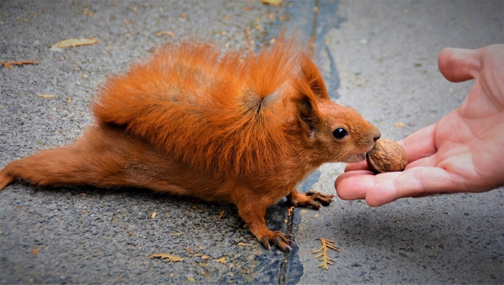 Wyjazd laureatów konkursów pod patronatem Prezydenta RP