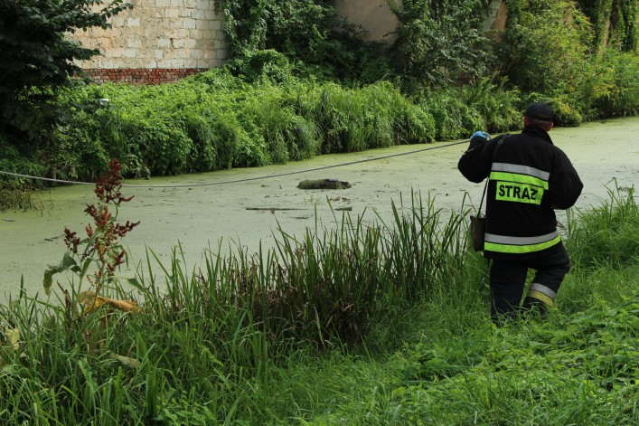 Wyłowiono ciało z sadzawki przy ul. Grochowskiej / Orlej. Policja ustala przyczyny utonięcia
