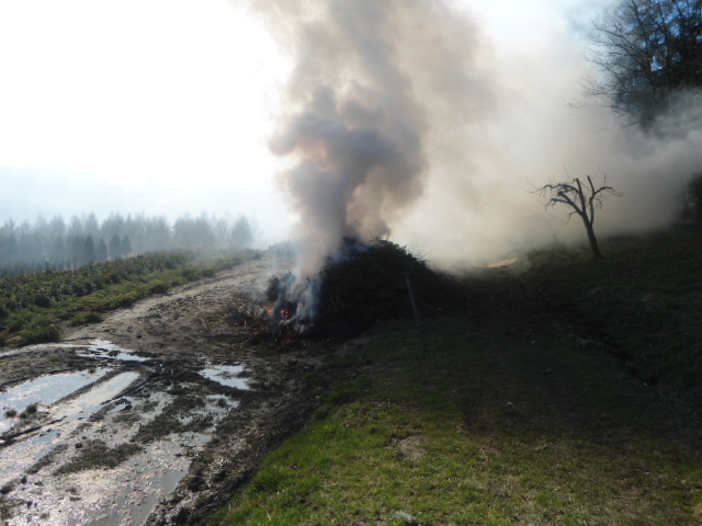 Wysokie kary nie odstraszają, może są za niskie?