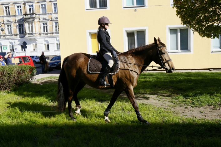 XXVI Rejonowe Mistrzostwa Pierwszej Pomocy PCK w Elblągu