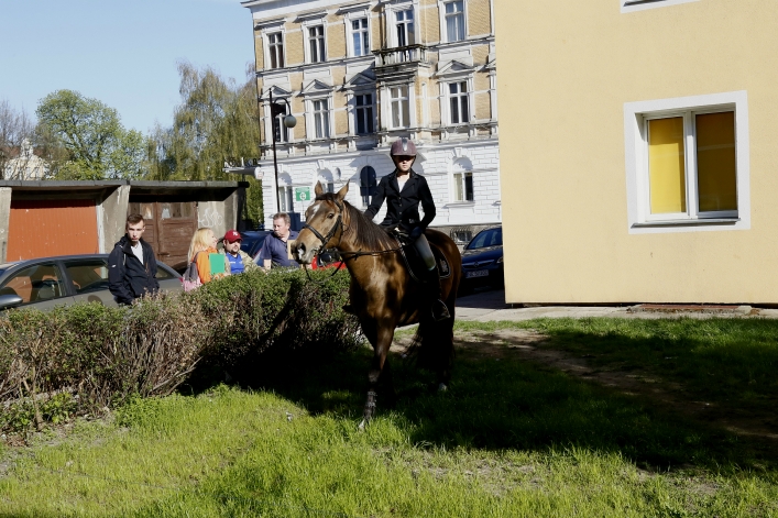 XXVI Rejonowe Mistrzostwa Pierwszej Pomocy PCK w Elblągu