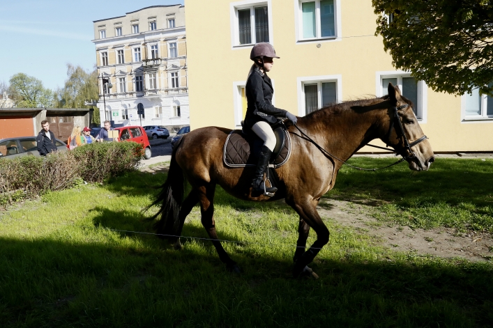 XXVI Rejonowe Mistrzostwa Pierwszej Pomocy PCK w Elblągu