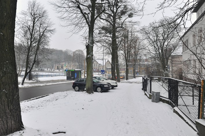 Zetną stare drzewa na Saperów, by wydłużyć prawoskręt