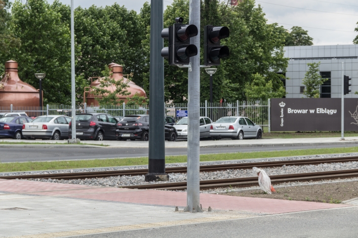 Zielona fala? Na pewno nie na ulicy Browarnej