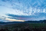 Poranek na trasie Elbląg - Tolkmicko