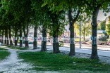 Kasztany