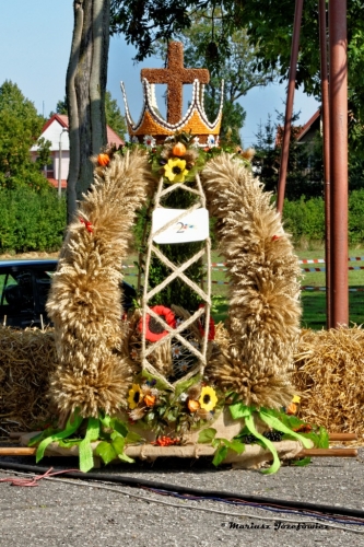Wieniec