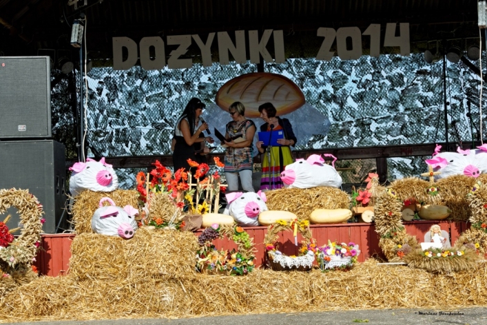 Wieniec