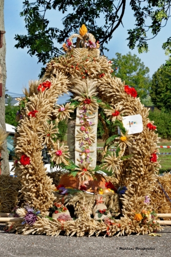 Zwycięski wieniec!