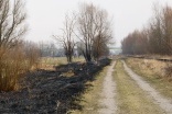 Podpalenia traw