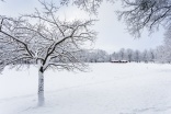 Śnieżny Elbląg 